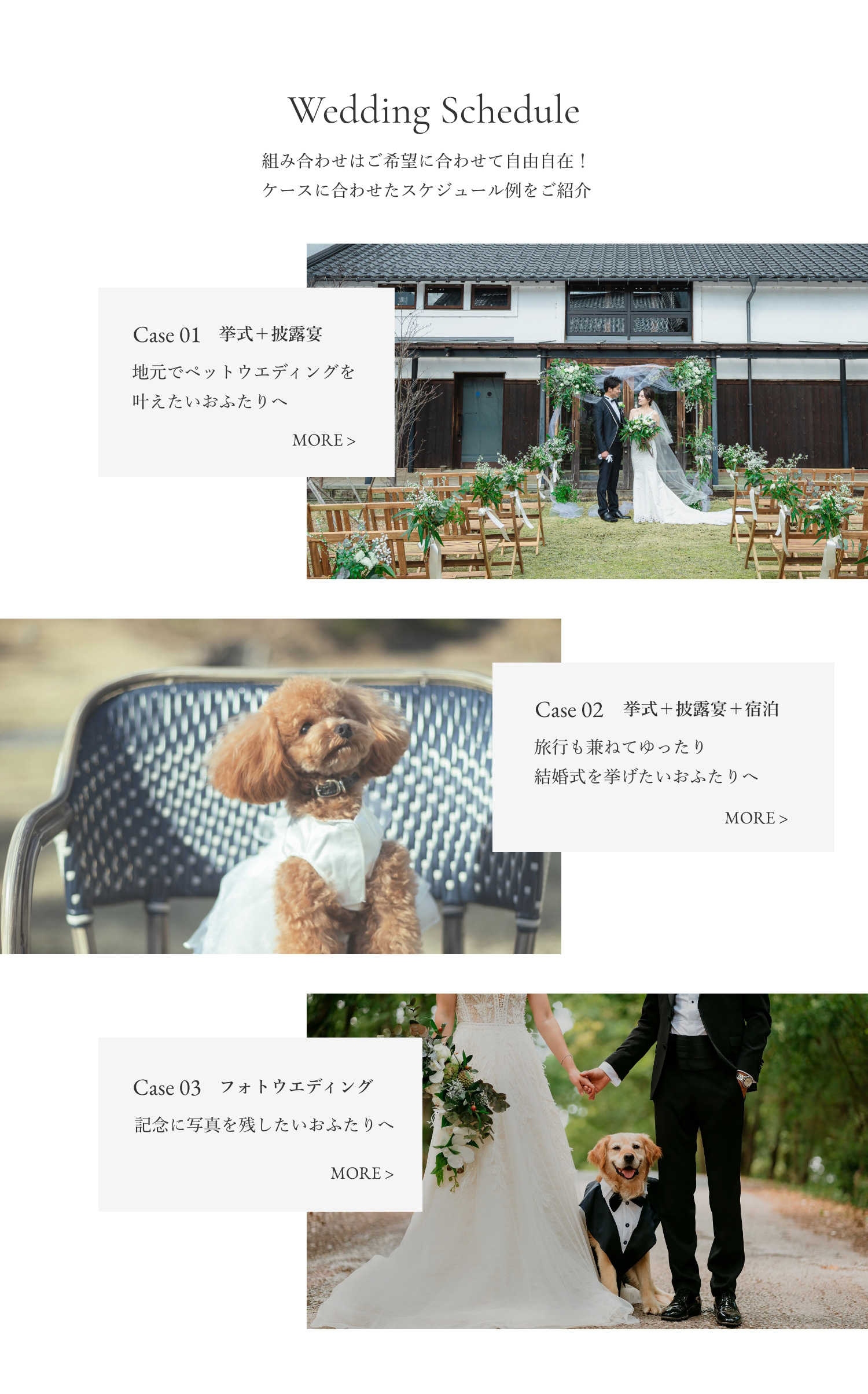 Resort Pet Wedding