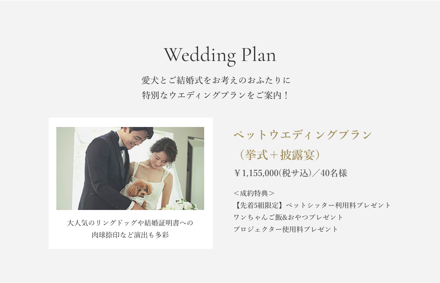 Wedding Plan