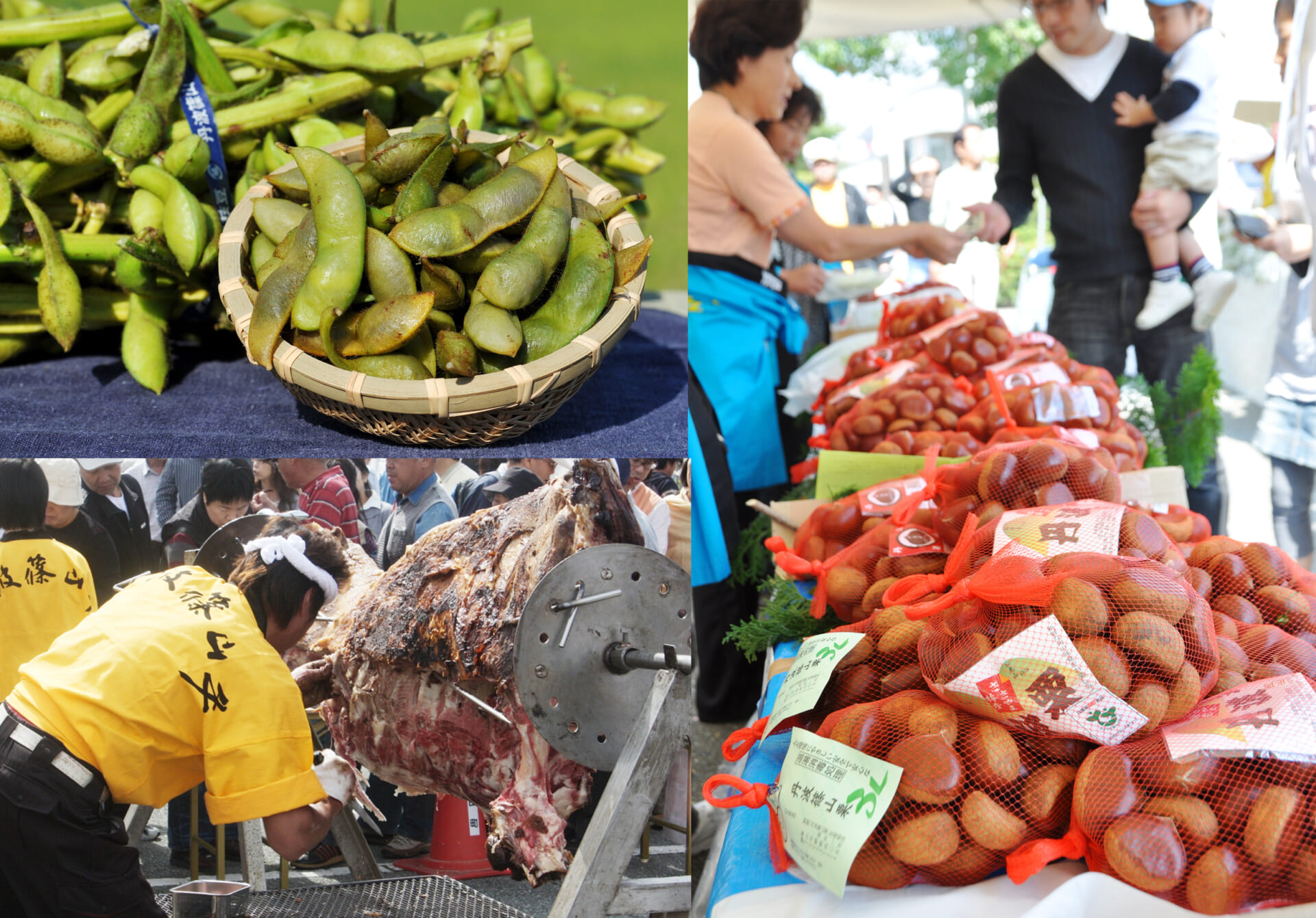 食の国 丹波篠山の秋の味覚が大集合 食欲の秋 美食の旅に出掛けませんか 公式 竹田城 城下町 ホテルen 竹田城跡に最も近く歴史の詰まったホテル