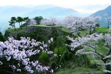 春の竹田城跡